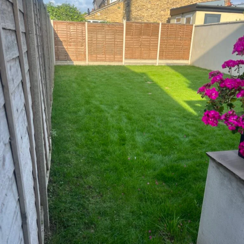 Eltham Before Resized