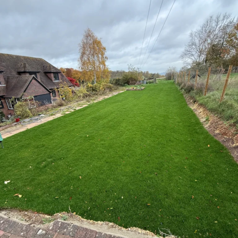 Reading After Resized