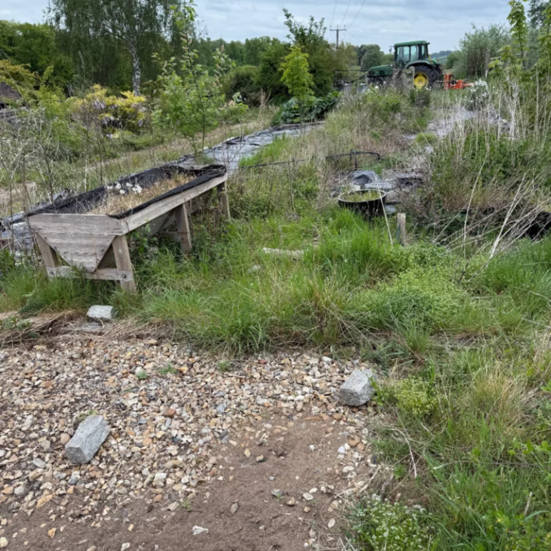 Reading Before Resized